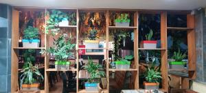 SriKrishna Paradise Hotel Thane Navi Mumbai