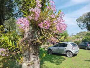 CHALÉ SIMPLES EM CANELA WI-FI SPLIT COZINHA COMPLETA SALA QUARTO BANHEIRO A 2 KM DO centro