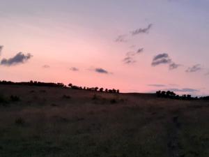 7 person holiday home in Knebel-By Traum