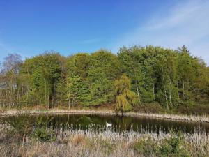 7 person holiday home in Knebel-By Traum