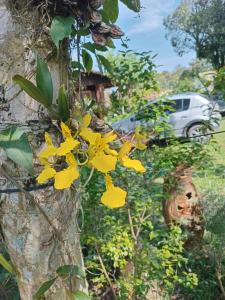 CHALÉ SIMPLES EM CANELA WI-FI SPLIT COZINHA COMPLETA SALA QUARTO BANHEIRO A 2 KM DO centro