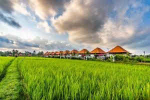 Akshaya Villa Ubud by Dhananjaya Hospitality