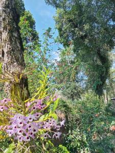 CHALÉ SIMPLES EM CANELA WI-FI SPLIT COZINHA COMPLETA SALA QUARTO BANHEIRO A 2 KM DO centro