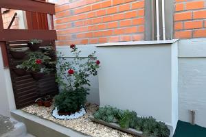 Alma Leve Ingleses - 250 m da praia