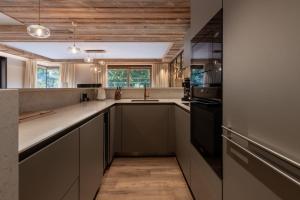 Antarès URSA 102 - luxury apartment ski inski out