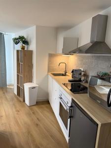 Appartement chaleureux au cœur de Lons-le-Saunier