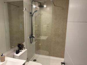 Pucón Infinity Camino al Volcán