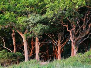 Luxury Pool Villa in Lohals - By Traum Ferienwohnungen
