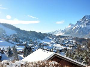 Studio 4 pers, centre village dArâches, balcon ouest, proche pistes et commodités - FR-1-572-137