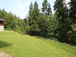 Appartement 3 pièces cabine, 6 pers, face au spa et au ski bus, proche pistes et commodités - FR-1-572-45