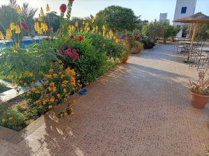 Villa Dar Albatros Great for groups surf, yoga, friends and family