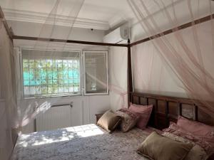 Villa Moderne piscine jardin