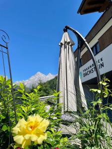 Traumblick Dachstein