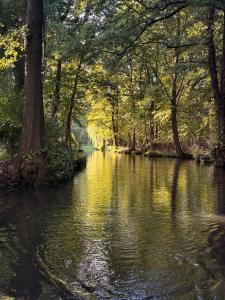 Ferienwohnung an der Postsäule Lübbenau