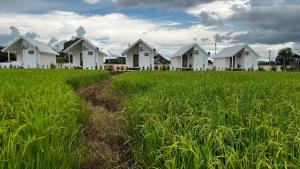 Tiny house homestay & cafe 5 units