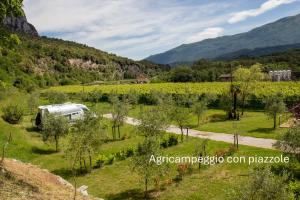 Agricampeggio Paolino