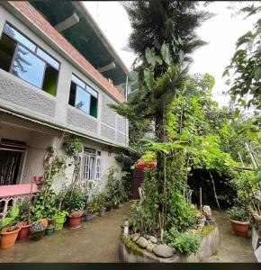 Kachopa Homestay