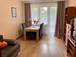 Apartament na Saperskiej