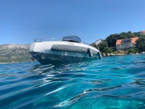 Invictus TT 280 - Luxury and Private Daily Cruiser Experience in Dubrovnik, Tailor Made