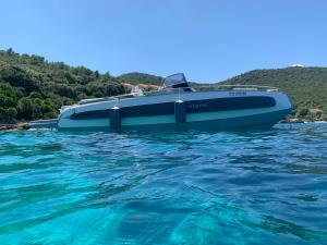 Invictus TT 280 - Luxury and Private Daily Cruiser Experience in Dubrovnik, Tailor Made