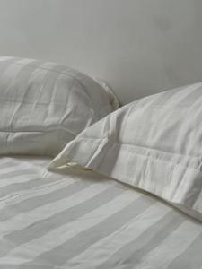 Appartement- cœur de Cannes