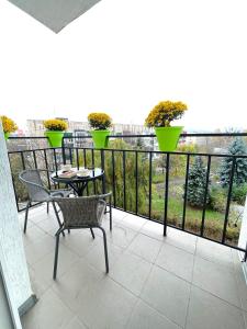 Затишна красива студія в новобудові з балконом