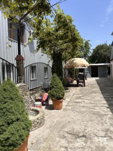 Hotel kobuleti mziuri