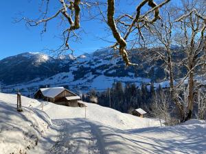 Ferienhaus Schönenmatte