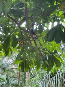 Beau Soleil Stunning Sea View One Bedroom Apartment