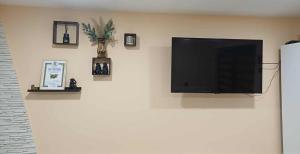 Студио Ванеса