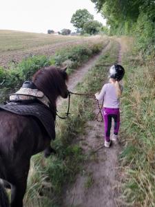 Mini-lejlighed med køkken - Deler bad og toilet med nabolejlighed 3