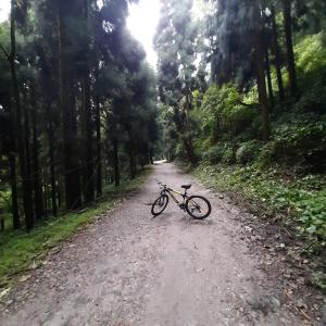 KOLAKHAM SILVERPINE RETREAT HOMESTAY Pure Veg KOLAKHAM,LAVA