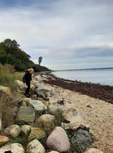 Mini-lejlighed med køkken - Deler bad og toilet med nabolejlighed 4