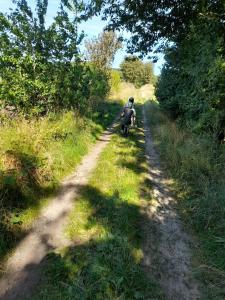 Mini-lejlighed med køkken - Deler bad og toilet med nabolejlighed 4