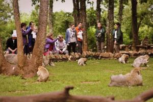 Villa spacieuse 3 chambres à lentrée de la ville