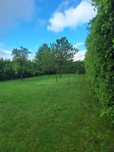 La maison des petits loups