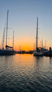 Unique Experience in Sailboat! In The 4 Seasons!!