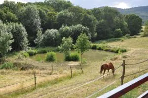 拉贝格里住宿加早餐旅馆 - Yzeron