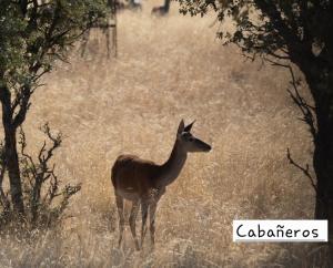 Casa Rural Valle de los Molinos