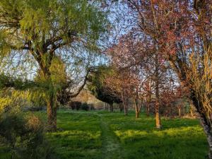 Charmante longère percheronne avec cheminée, jacuzzi et verger