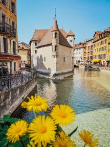 Annecy Vieille Ville Studio
