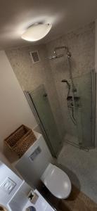 Apartament Blue Nest