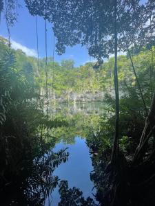 Cozy Apt Steps from Los Corales Beach