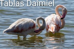 Casa Rural Valle de los Molinos