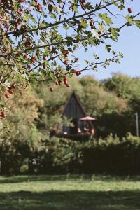 Cottage Naiosi
