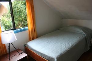 Pucón Forest Wellness