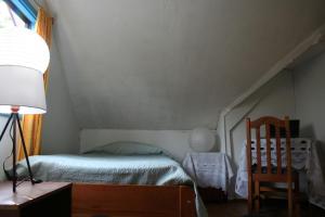 Pucón Forest Wellness