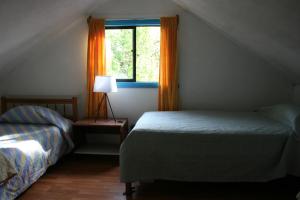 Pucón Forest Wellness