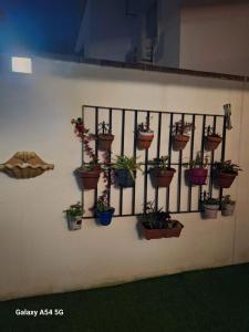 Vuela con buhardilla Andaluza Muy Privada