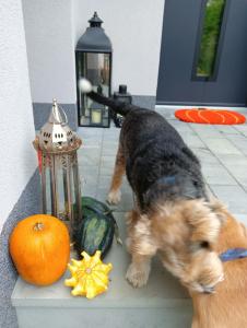 Apartamenty Okrętowa 23 Bolek Lolek